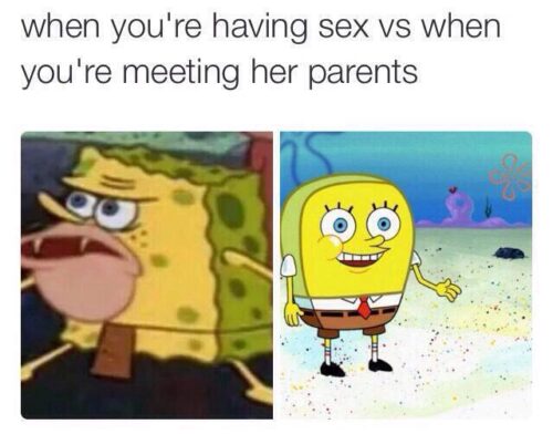 20 Spongebob Reaction Memes that Summarize Your Day Perfectly 4 When youre meeting her parents
