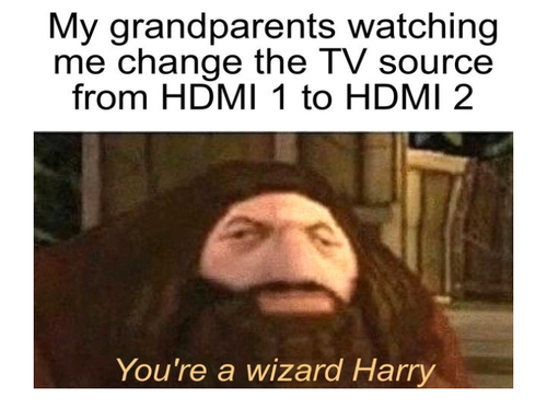 Wizard Memes - FG