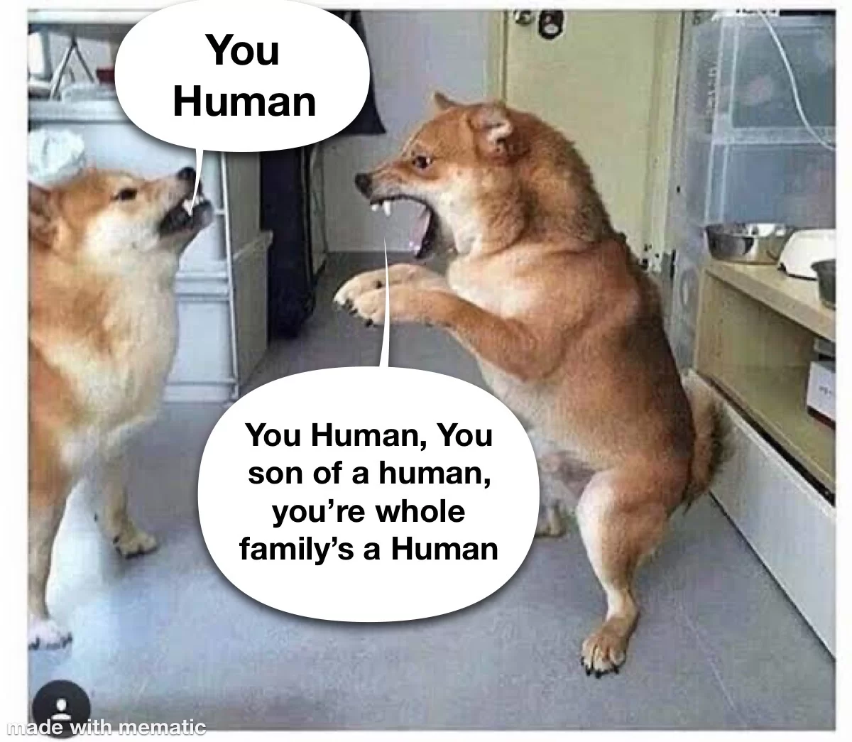 20 Best "Meanwhile In A Parallel Universe Memes" 18 You human