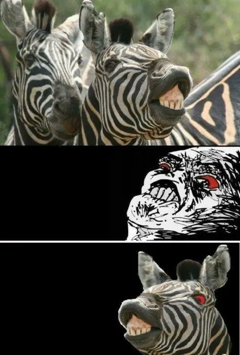 30 "Close Enough" Memes For Those Who Almost Made It 25 Zebra close enough