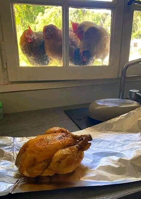 Pics That Go Hard: 30 Unapologetically Intense Pictures Making Waves on This X Page 4 chicken looking at roasted chicken - Intense Pictures