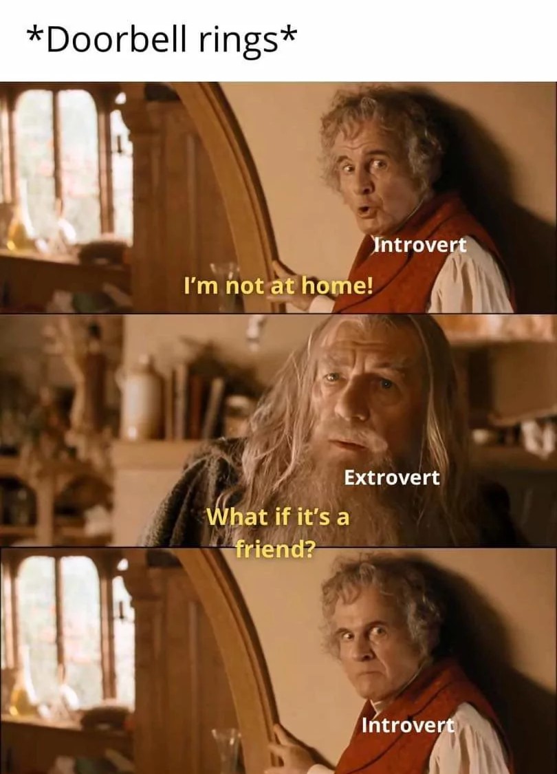23 Introvert vs Extrovert Memes That Are Extremely Relatable 16 door bell rings - Introvert vs Extrovert Memes