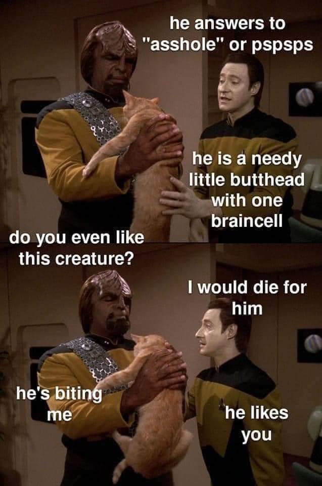 18 Memes for a Riotous Good Time 4 he likes you