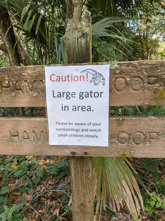 23 Warning Signs That Caught Attention 12 large gator in area