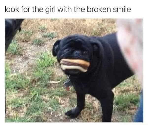 25 Funny Memes for Every Mood 10 look for the girl - Funny Memes for Every Mood