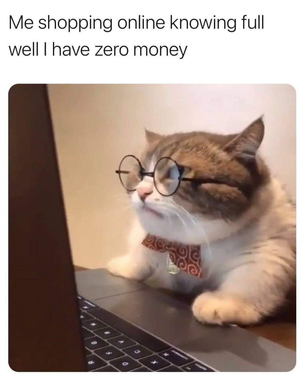 25 Casual Memes That Will Leave You Wondering, "Who Comes Up With This Stuff?" 12 me shopping online - Casual Memes