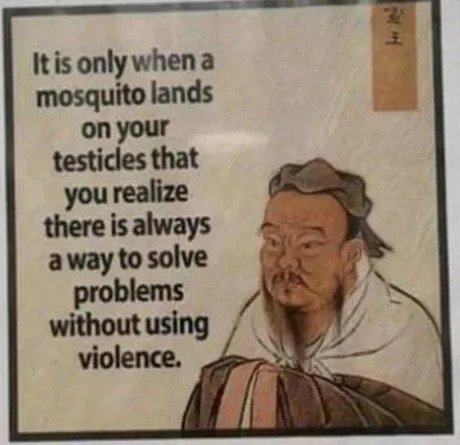 20 Wisdom Memes to Illuminate Your Path to Enlightenment 12 mosquito lands - Wisdom Memes