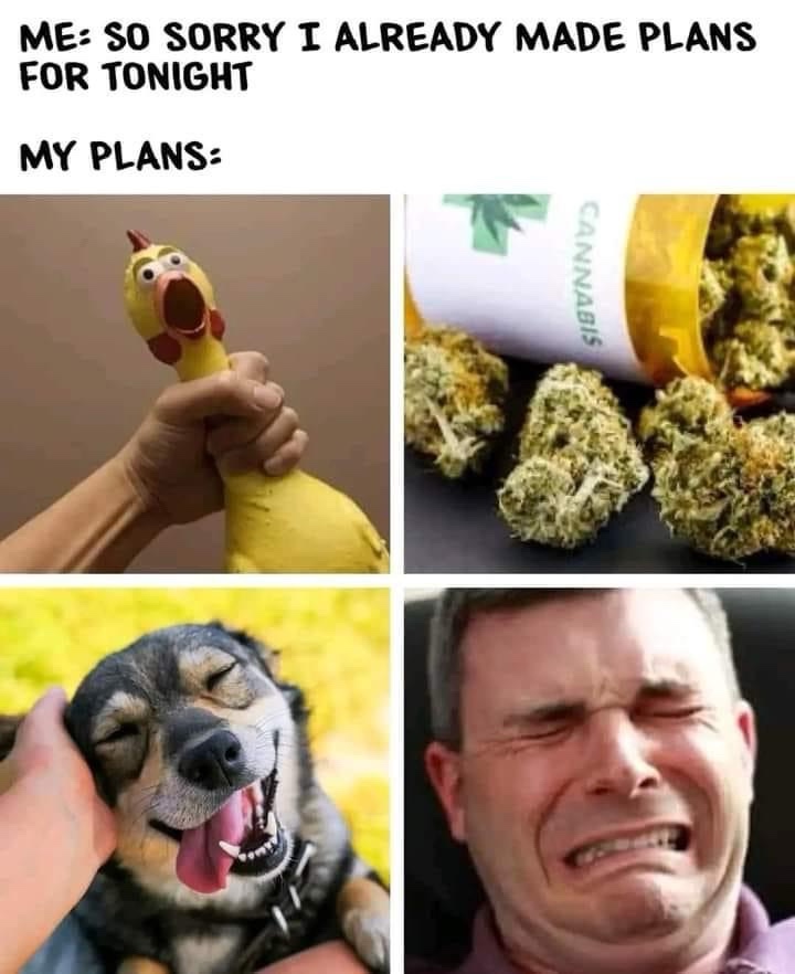 20 Memes to Make Your Day 10x Funnier 19 my plans