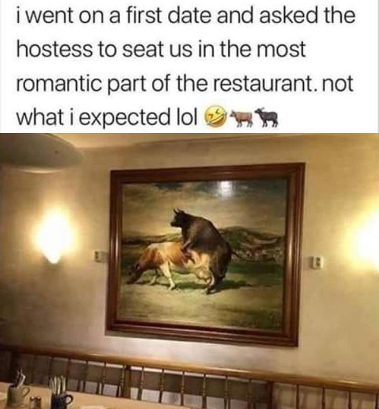 20 Positively Love-Struck Romantic Memes for Endless Grins 15 not what i expected - romantic memes