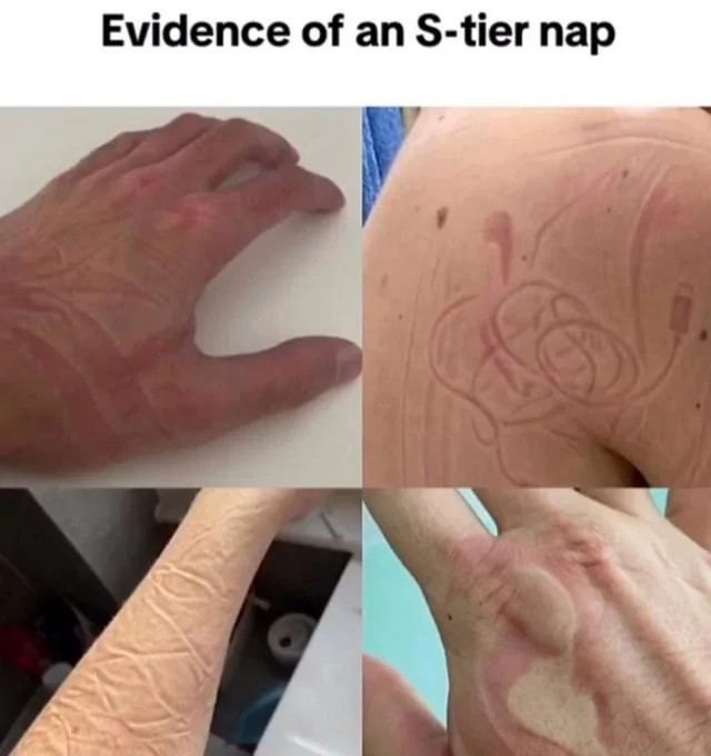 25 Nap Memes for Those Who Cherish Their Zzz's 27 s tier nap