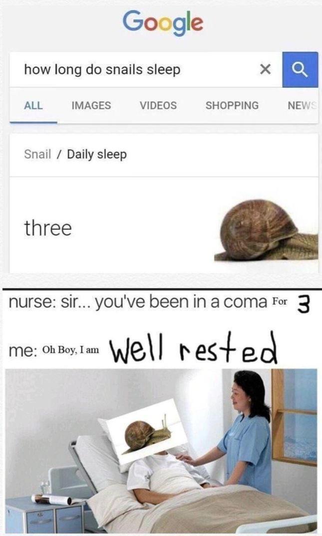 25 Funny Memes for Every Mood 16 snail resting - Funny Memes for Every Mood