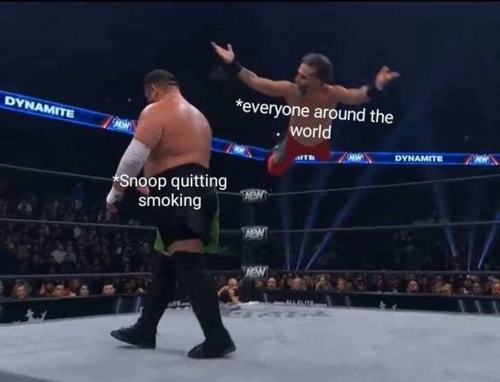 25 Casual Memes That Will Leave You Wondering, "Who Comes Up With This Stuff?" 17 snoop quitting smoke - Casual Memes