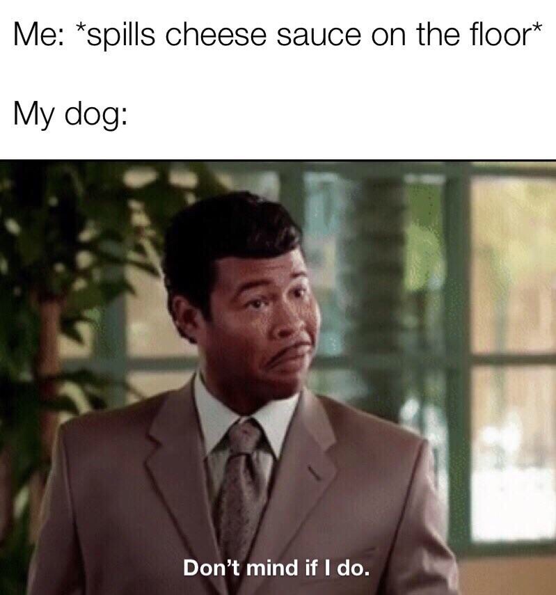 20 Off-the-Wall Memes: Laugh Your Socks Off 7 spilling cheese sauce on floor - Off-the-Wall Memes