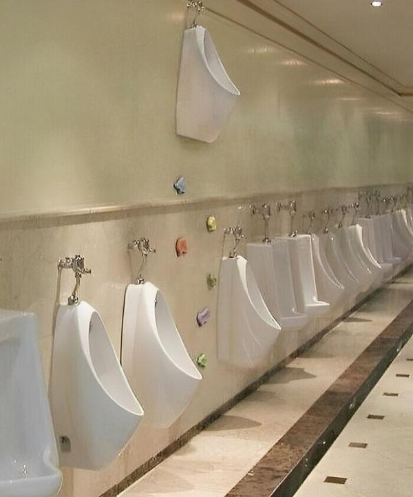 20 Photos That Raise More Questions Than Answers 19 toilet - Photos That Raise More Questions Than Answers