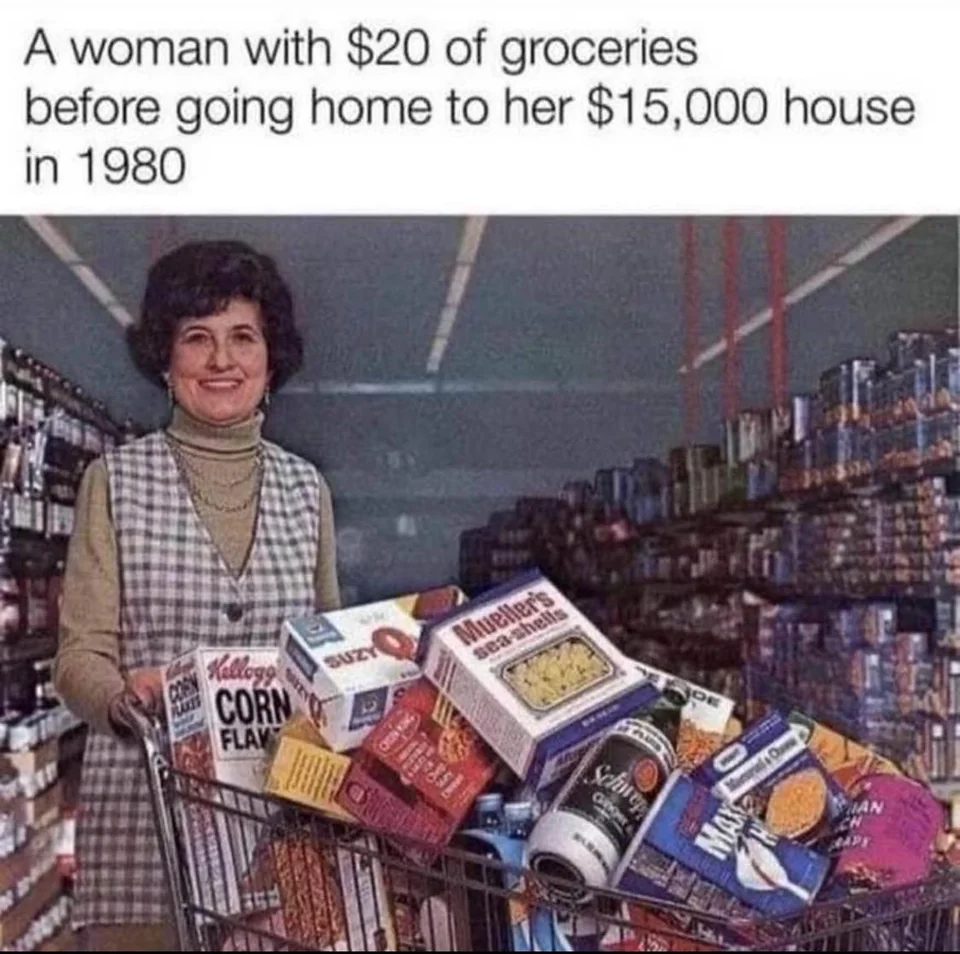 25 Funny Pics That Will Have You Nostalgic and Feeling Old 1 20 dollar groceries