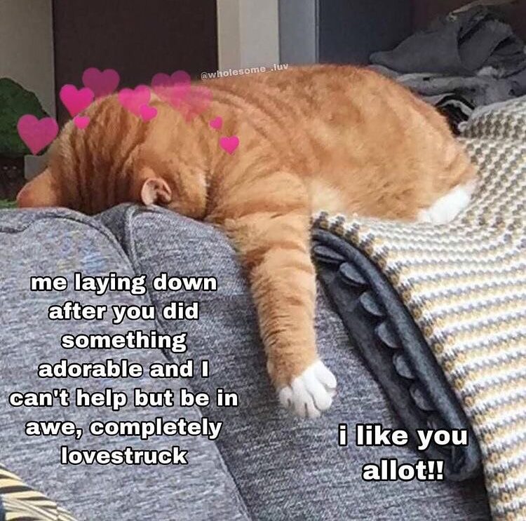 30 Crush Memes That Sum Up the Awkwardness of Secret Admirations 3 After you did something adorable - Crush Memes