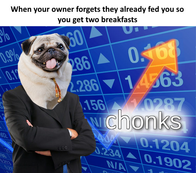 25 Cute Dog Memes for Your Daily Dose of Joy 23 Already fed you