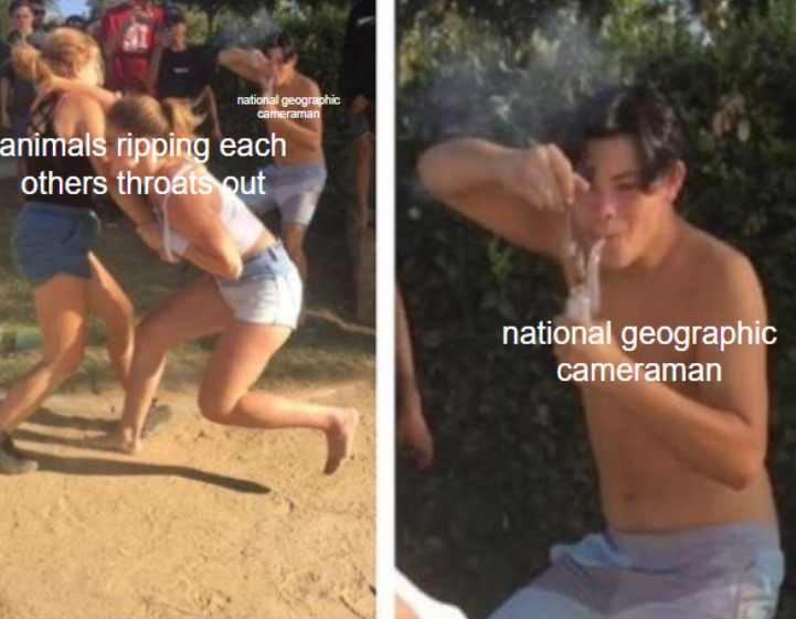 30 Best National Geographic Cameraman Memes Of All Time 25 Animals ripping out eachother - National Geographic Cameraman Memes