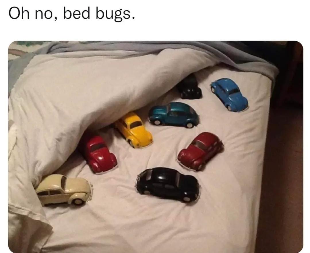 35 Funniest Pun Memes That Are Damn Punny 29 Bed Bugs - Pun Memes