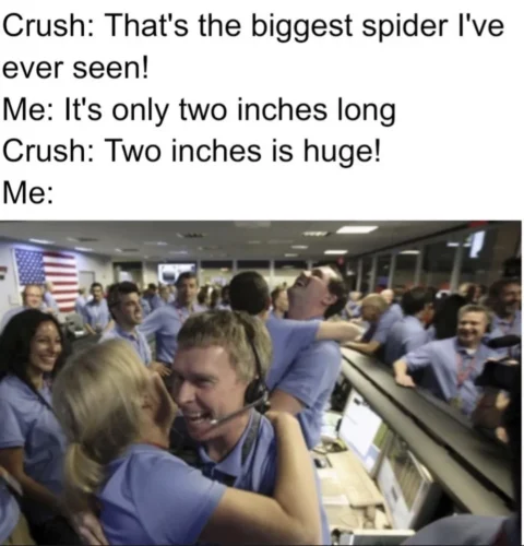 25 Crush Memes That Sum Up the Awkwardness of Secret Admirations 2 Biggest spider Ive ever seen - Crush Memes