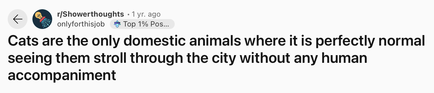 25 Funny and True Shower Thoughts That Will Make You Rethink 4 Cats are the only domestic animals