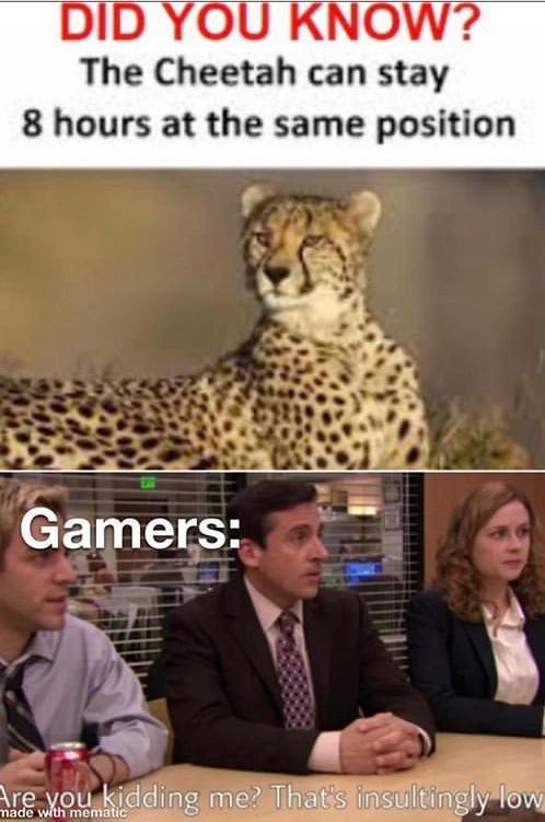 30 Fascinating "Did You Know Memes" That Will Shake You Up 26 Cheetah can stay