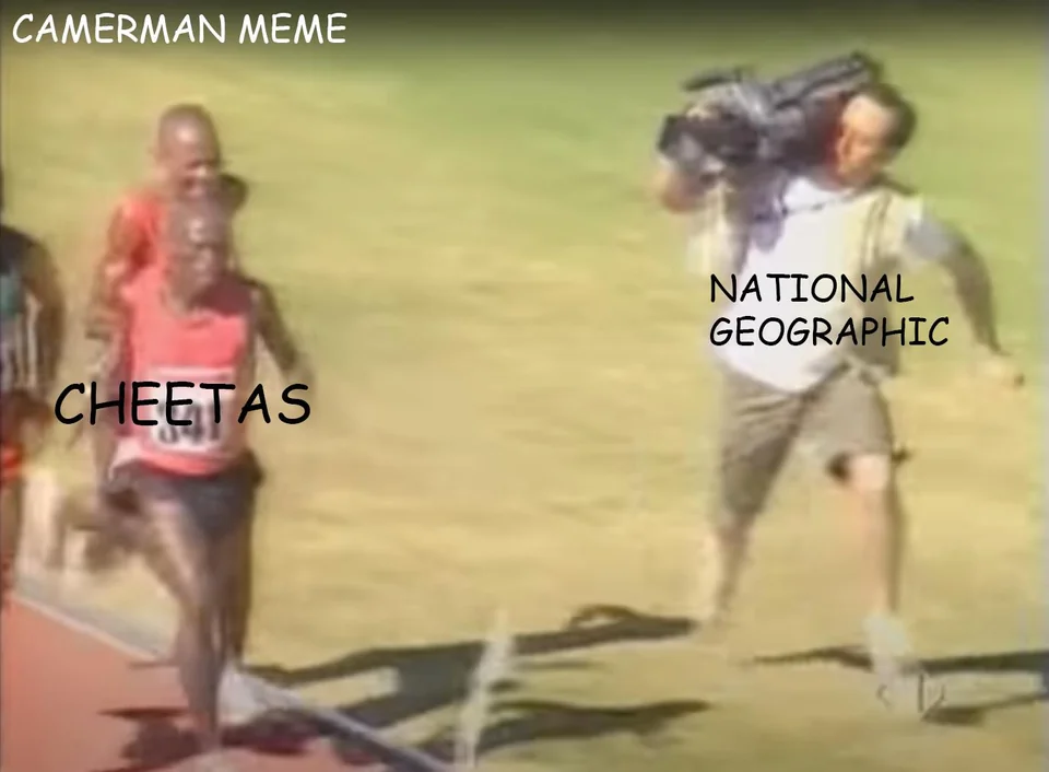 30 Best National Geographic Cameraman Memes Of All Time 23 Cheetah vs Cameraman - National Geographic Cameraman Memes