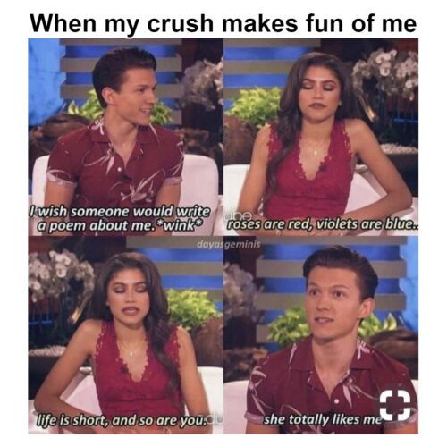 25 Crush Memes That Sum Up the Awkwardness of Secret Admirations 5 Crush makes fun of me - Crush Memes