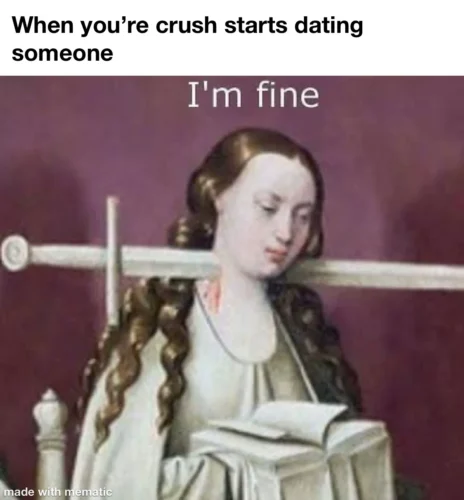 25 Crush Memes That Sum Up the Awkwardness of Secret Admirations 6 Crush starts dating someone - Crush Memes
