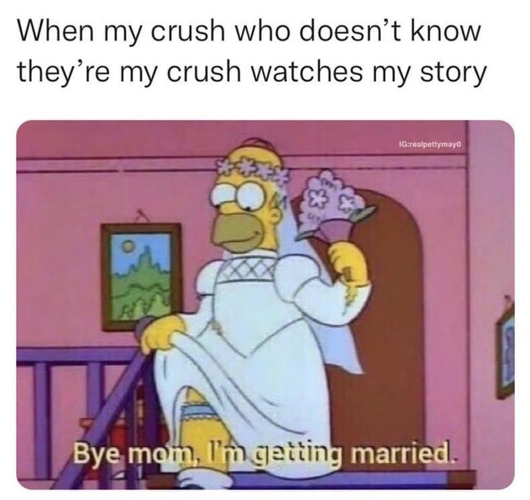 30 Crush Memes That Sum Up the Awkwardness of Secret Admirations 9 Crush watches story - Crush Memes