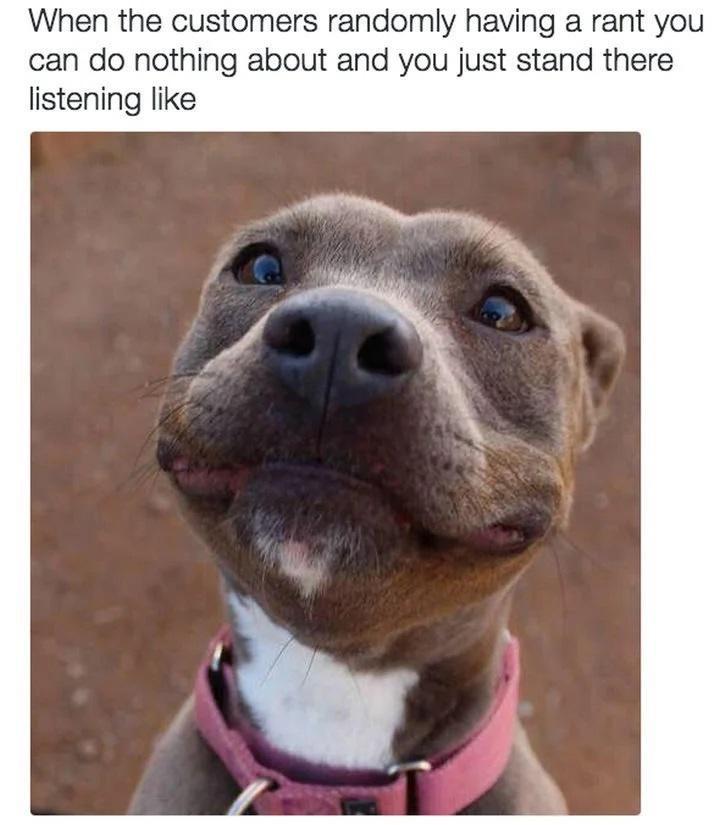 20 Cute Dog Memes for Your Daily Dose of Joy 6 Customer havving a rant - Cute Dog Memes