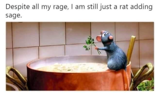 35 Funniest Pun Memes That Are Damn Punny 31 Despite all my rage