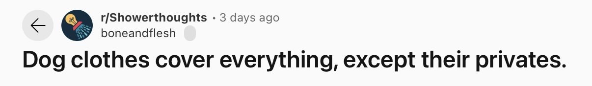 25 Funny and True Shower Thoughts That Will Make You Rethink 21 Dog clothes cover everything