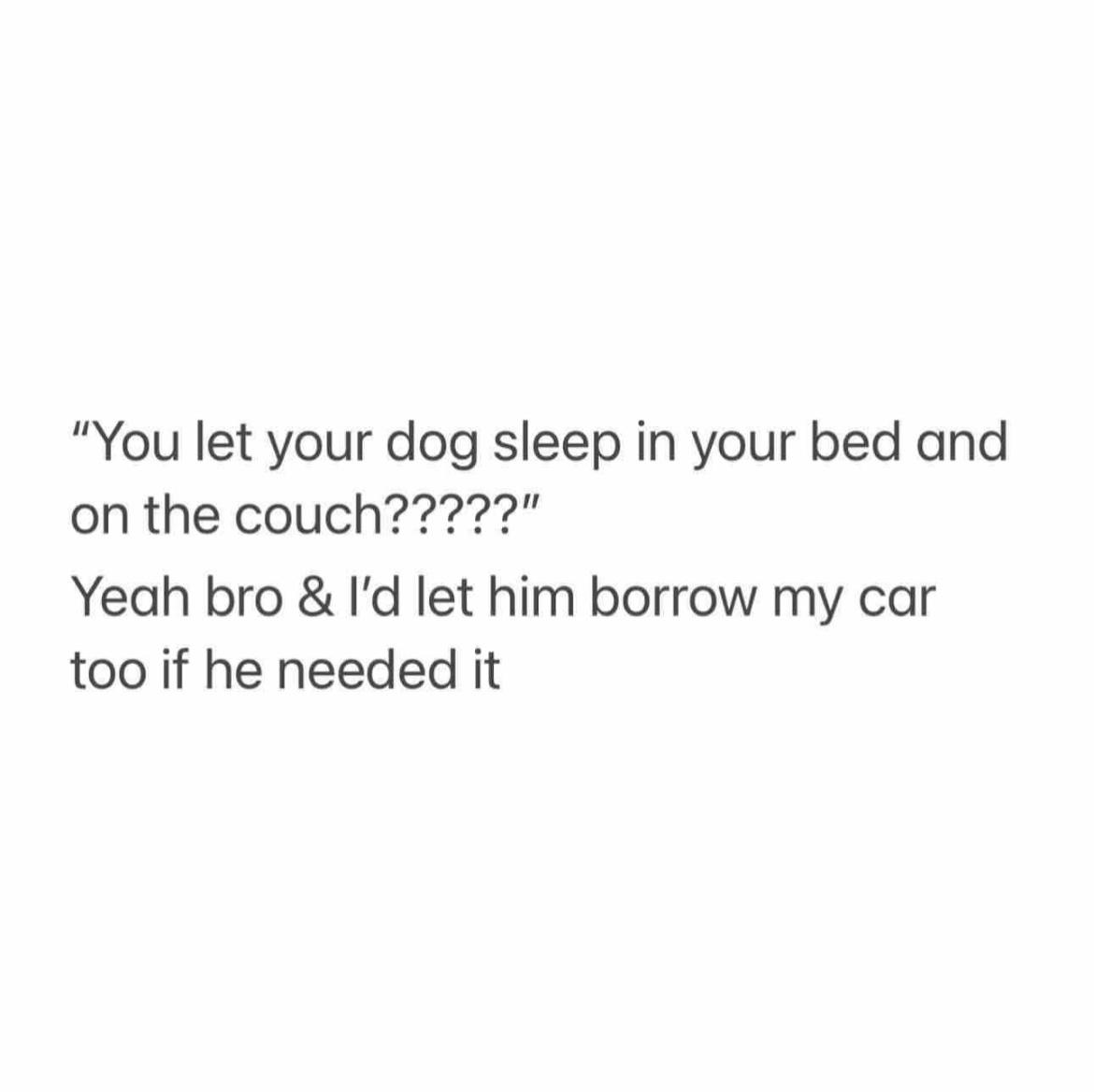 20 Hilarious Dog Memes to Brighten Your Ruff Day 3 Dog sleep in couch - Hilarious Dog Memes