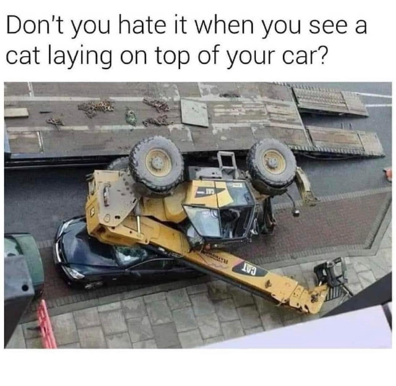 15 Memes: An Odyssey of Humor Across the Internet Cosmos 4 Dont you hate it