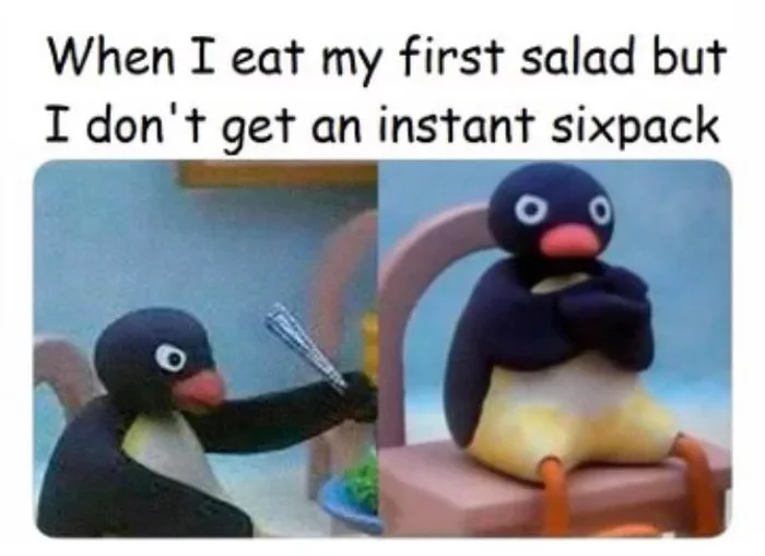 Before Ringing in 2025, Check Out These Hilarious New Year Resolution Memes 11 Eat my first salad