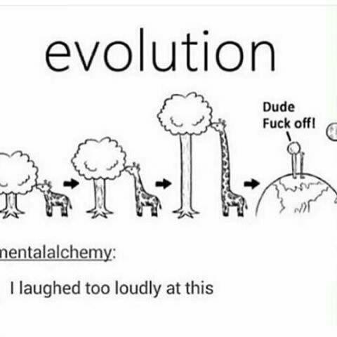 25 Nerd Memes: A Dive into the World of Geeky Humor 19 Evolution - Nerd Memes