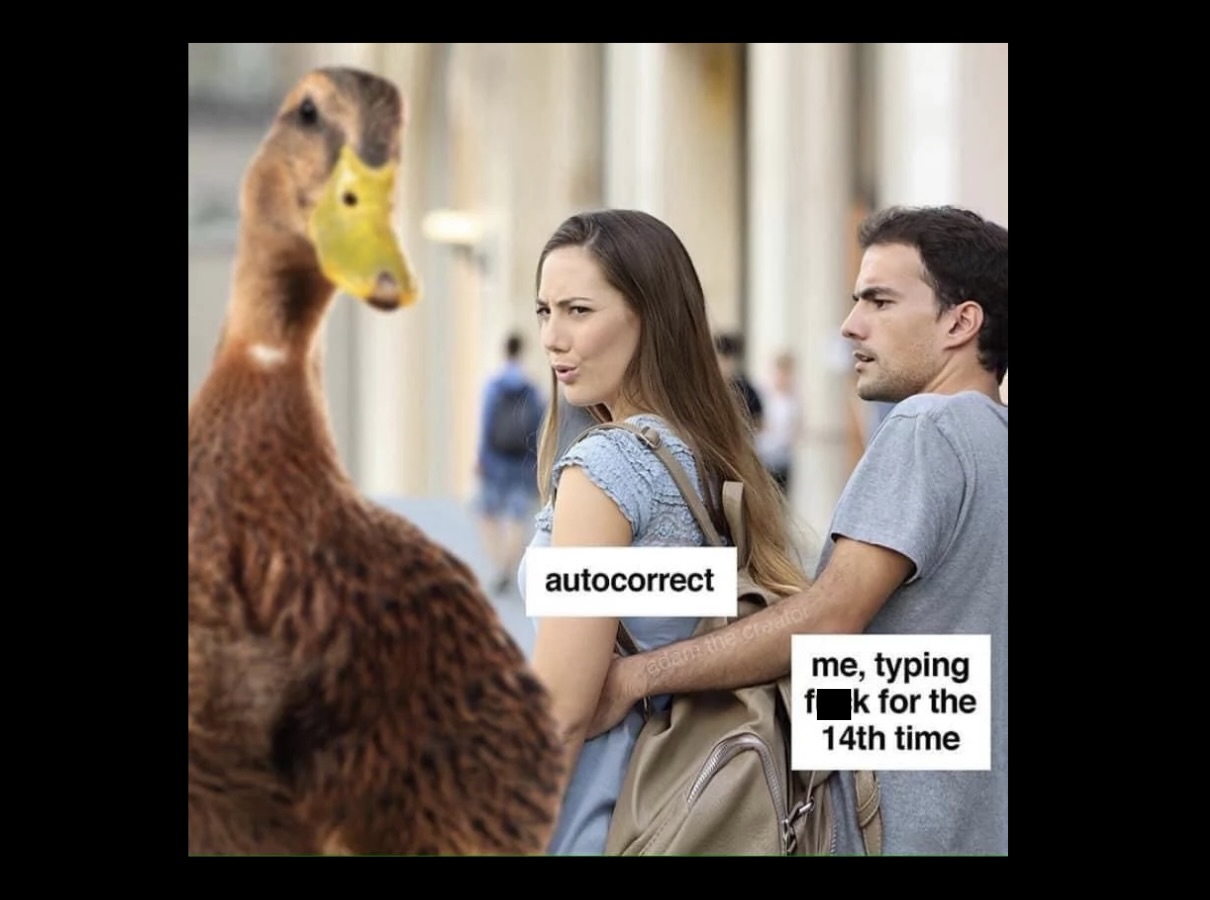 Funniest Quirky Memes You Will Ever See FG