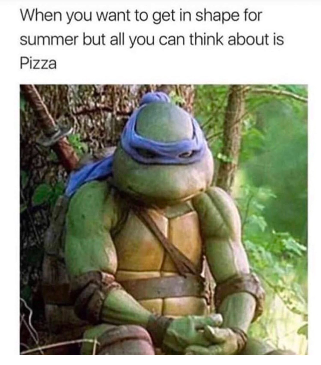 20 Laugh-Out-Loud Memes to Elevate Your Mood Instantly 16 Get in shape for summer