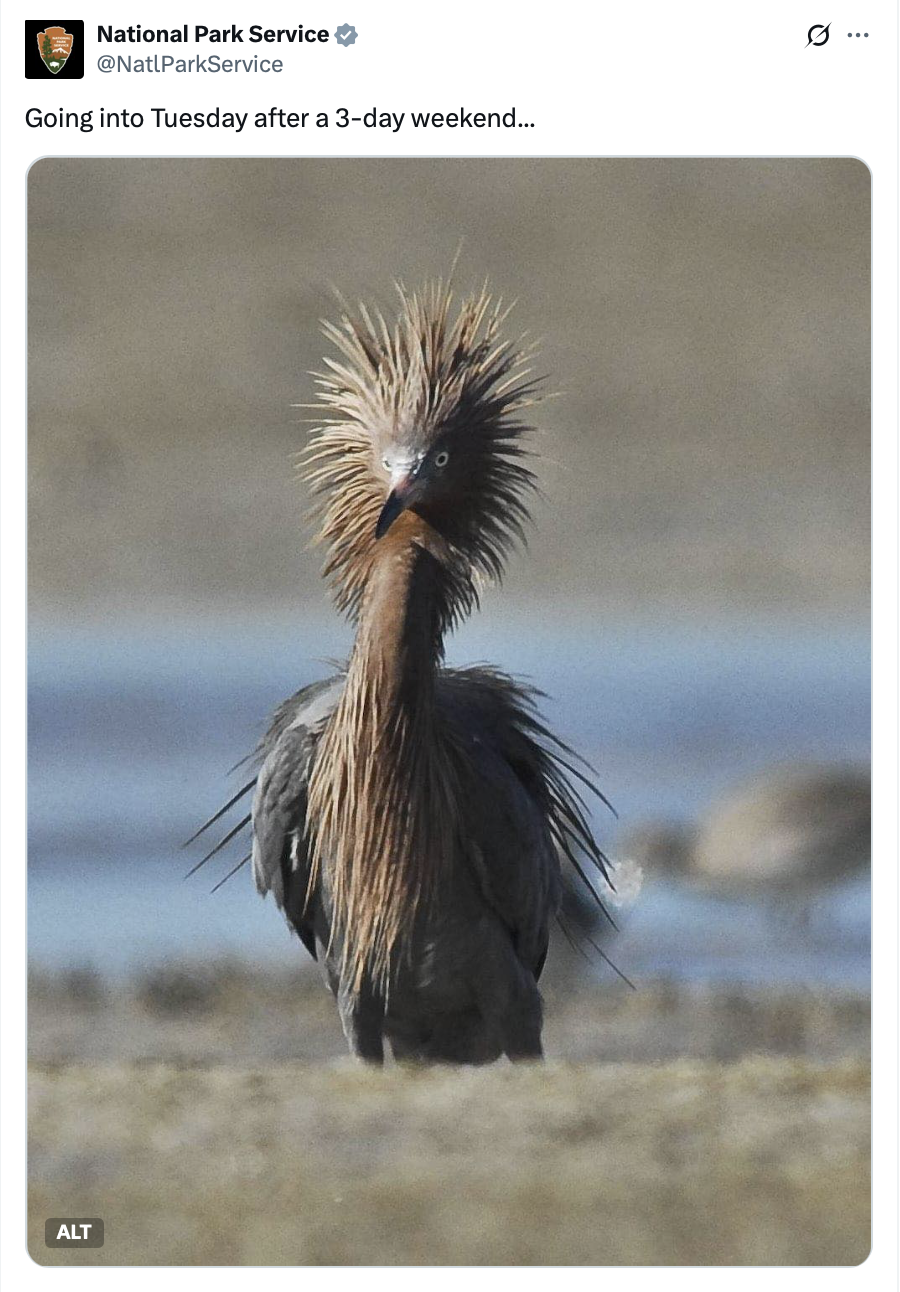 Going into Tuesday after a 3-day weekend...