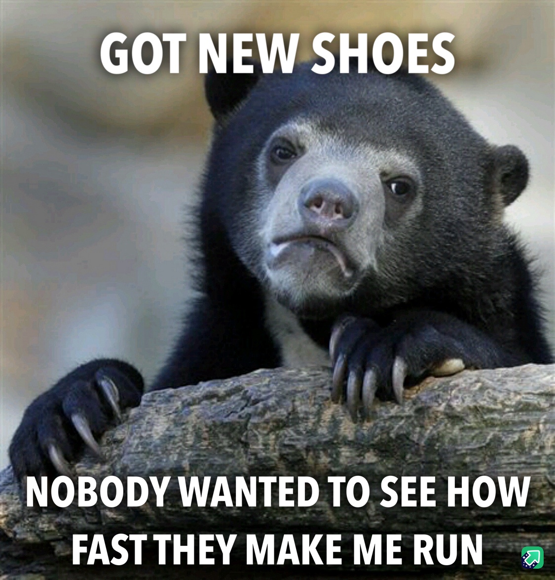 35 Funny Memes That Prove Adulting Is Hard 31 Got new shoes