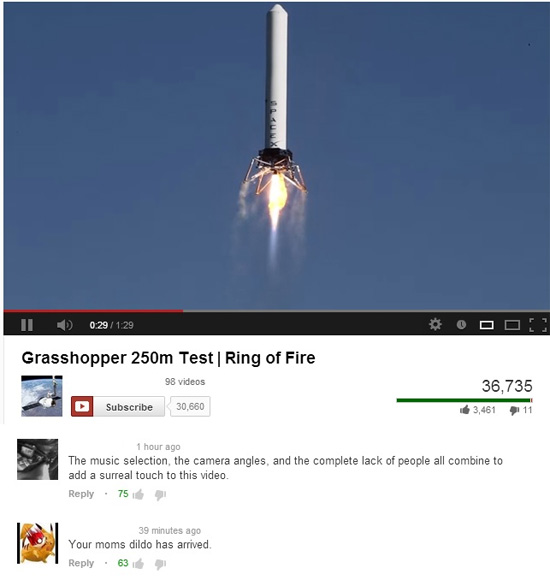 23 Funny YouTube Comments That Made Us Spit Out Our Coffee 7 Grasshopper - Funny YouTube Comments
