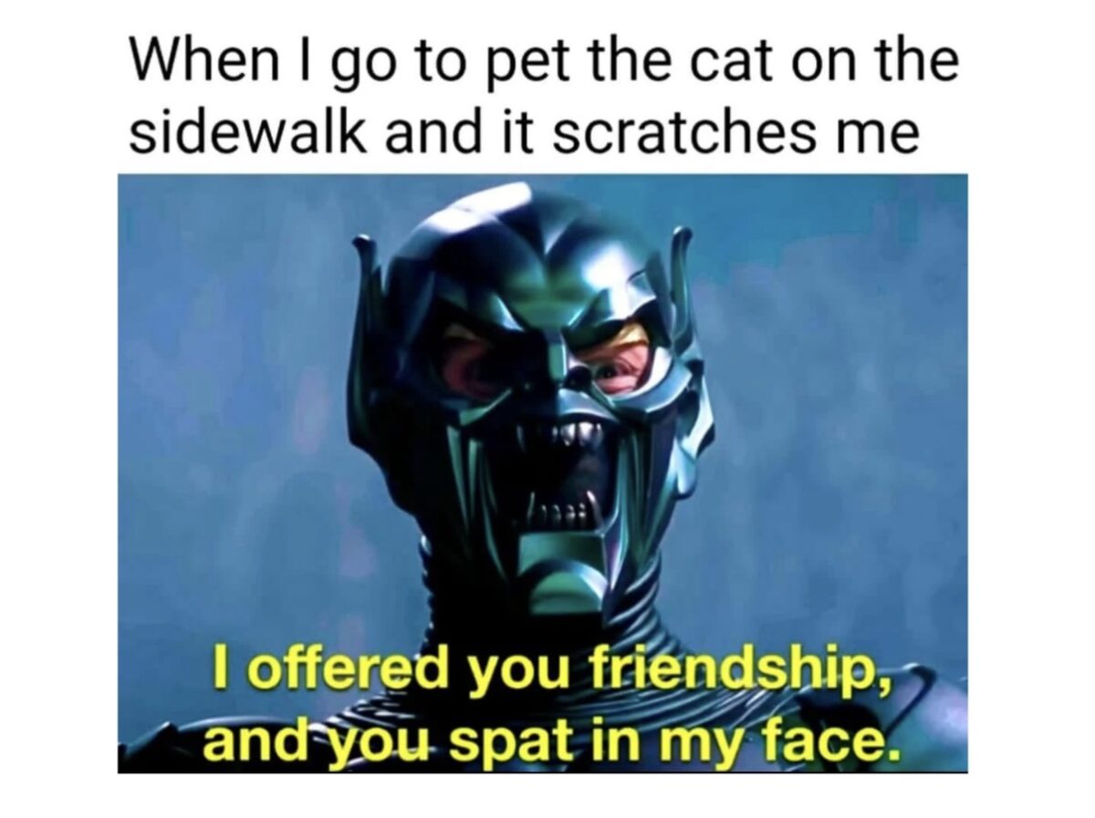 Hilarious Memes for These Trying Times FG