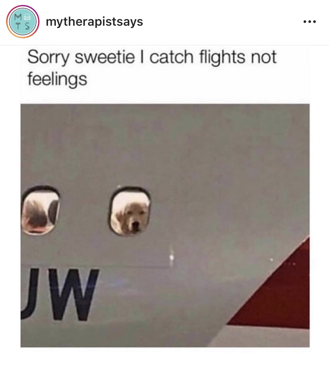 20 Memes for Silent Scrolling with an Unpredictable Blend of Laughter 5 I catch flights