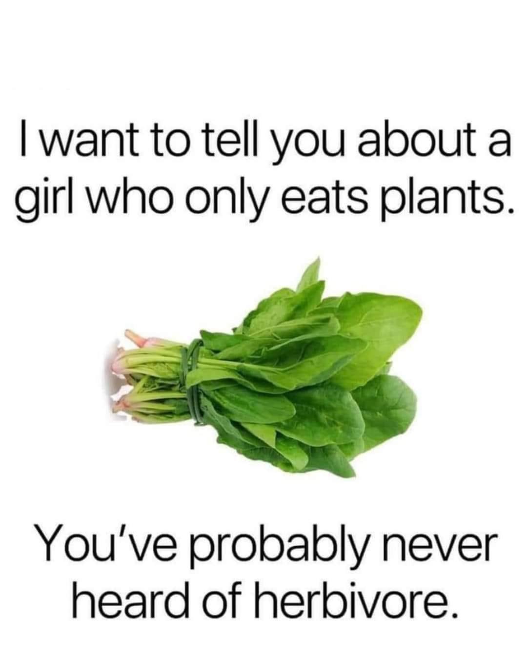 35 Funniest Pun Memes That Are Damn Punny 33 I want to tell you about a girl