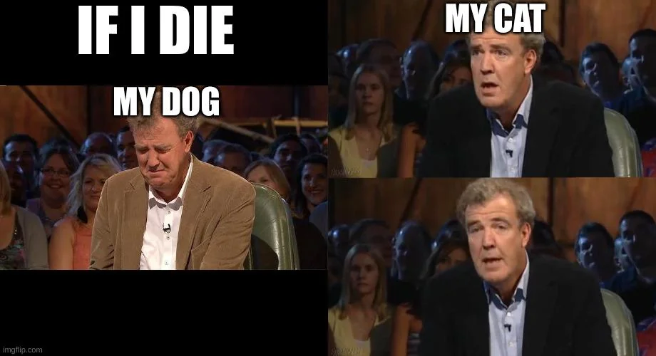 28 Cat Vs Dog Memes To Show Who Is Superior 26 If I die my dog