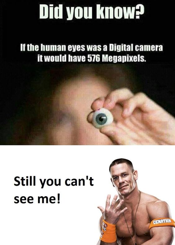 30 Fascinating "Did You Know Memes" That Will Shake You Up 22 If the human eye was camera - did you know memes