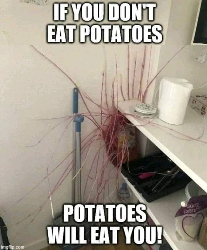 20 Memes I Sent My Crush, Because Who Needs Pickup Lines? 5 If you dont eat potatoes - Memes I Sent My Crush