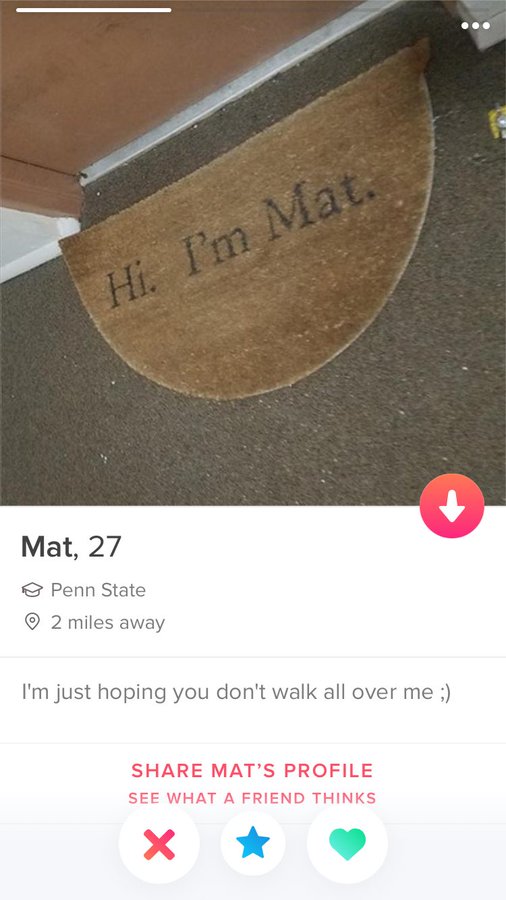 35 Funniest Tinder Bios That Will Make You Swipe Right 25 Im mat