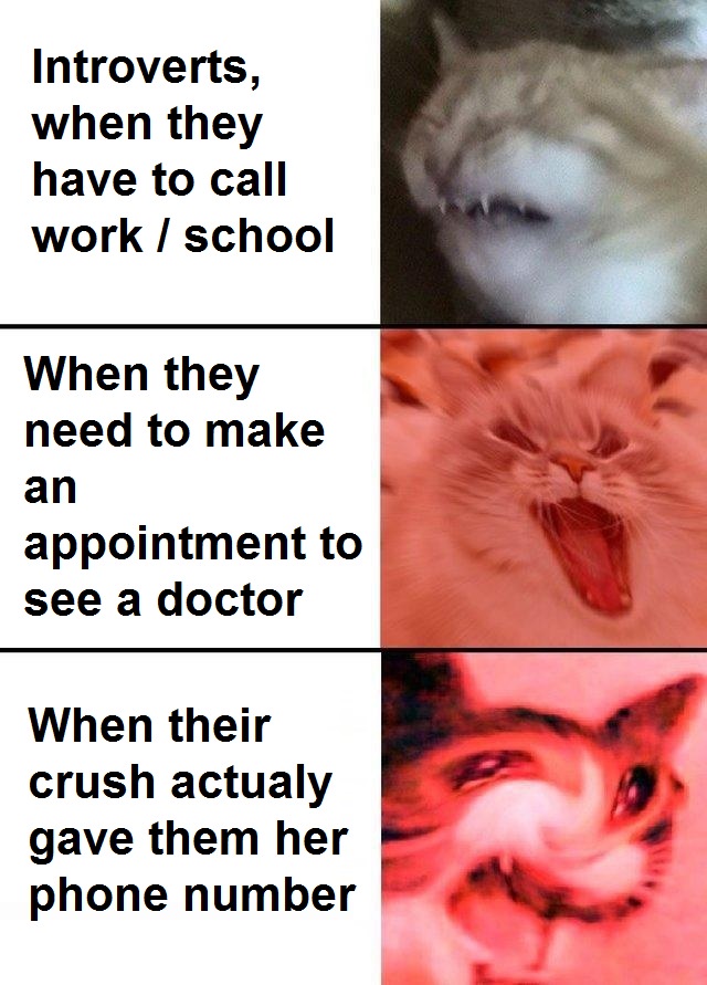 Introverts when they have to call